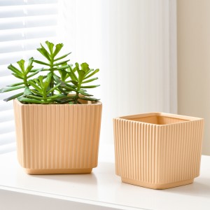 Stylish Small Succulent Planter with Drainage Hole for Indoor Plants