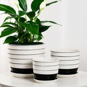 Simple White and Black Lines Modern for Flower Pot