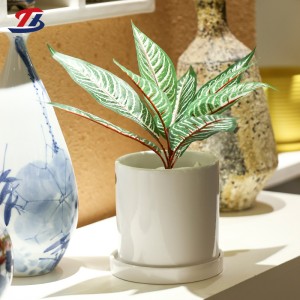2022 wholesale price Orchid Ceramic Flower Pot Bulkbuy - Solid Color Round Flowerpot Indoor Cheap Small Flower Pot – Tongxin
