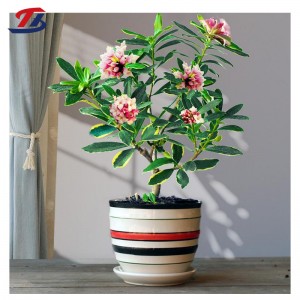 Cheap Wholesale Small Mini Ceramic Flower Pot