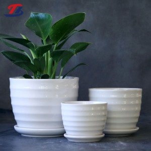 Hot-selling Large Outdoor Ceramic Planters - Ceramic White Modern Flower Pots Planter Pot Wholesale  – Tongxin