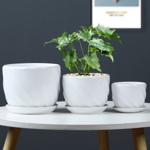 Cylindrical Glazed Indoor Modern Ceramic Plant Pots