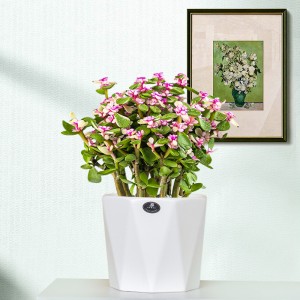 Set di 3 vasi per piante grandi in ceramica con logo personalizzato con fori di drenaggio