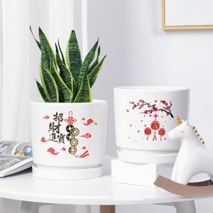 Vaso per piante in vaso medio europeo creativo personalizzato