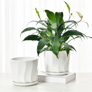 စျေးပေါသော Indoor White Flower Pot ကြွေထည်ပန်းအိုး