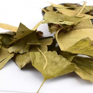 Yin Xing Ye manufacturer New Harvest Chinese Herbs Ginkgo Leaf
