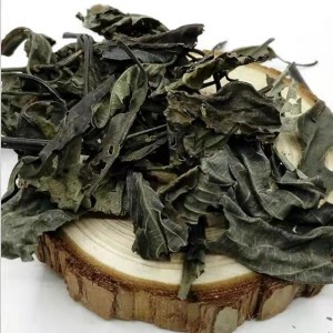 China OEM Smudge Sticks Manufacturer –  Liao Lan Bulk Chinese Medicinal Herbs Dreid Polygoni Tinctorii Leaf – Bestop
