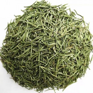 mi die xiang bulk herb spice rosmarinus officinalis dried rosemary leaves herbs For tea