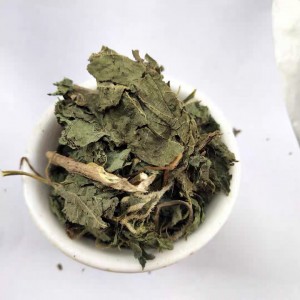 Xun Ma Ye Wholesale Chinese Natural Herb Dried Nettle Leaf