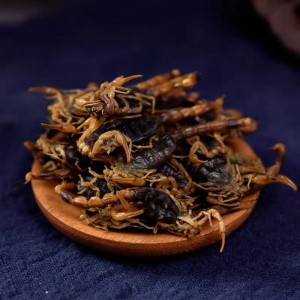 Quan Xie Animal Herbal Medicine Nature Whole Dried Scorpion Dry Scorpions
