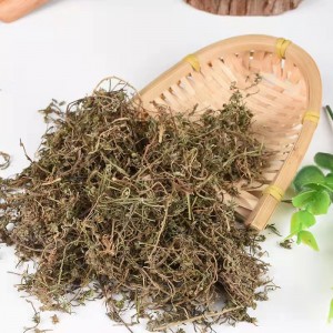 E Bu Shi Cao Bulk herbal medicine Dried Centipedae Minima herb