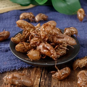 Chan Tui Traditional Chinese Medicinal Materials Cicada Slough