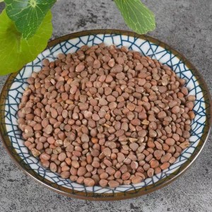 Lai Fu Zi Best price Traditional Chinese herbal Dried Radish Seeds