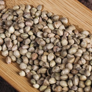 Huo Ma Ren Traditional Chinese Herbal Medicine Hemp Seed