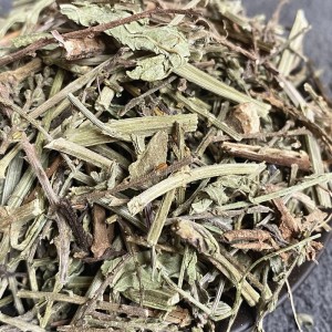Ma Bian Cao Wholesale Natural Herbal Medicine Verbenae for Healthy tea