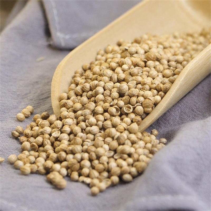 Goherbal Rhodiola Suppliers –  Xiang Cai Zi Wholesale Natural Herbal Medicine Coriander Seed – Bestop