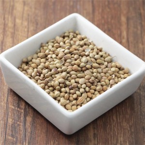 Xiang Cai Zi Wholesale Natural Herbal Medicine Coriander Seed