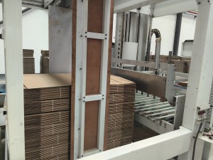 Fully Automatic Palletizer