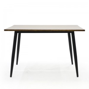 Steel Leg Dining Table with Wood Top GA2002T-RT