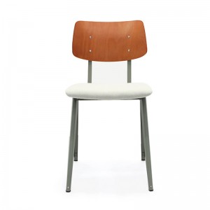 Modern Upholstered Chair Contemporary Velvet Chair GA2901BC-45STP