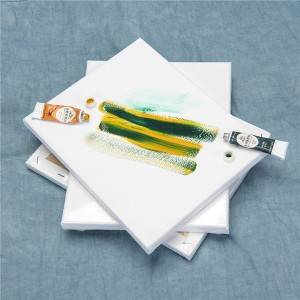 Blank Artist Canvas Stationery of Arts and Crafts for Kids