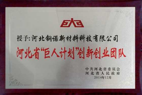 Hebei Province Giant plan innovation and entrepreneurship team.