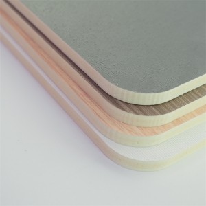 Fireproof and Waterproof New Material WPC Wall Board