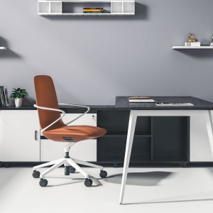 Άνετη δερμάτινη καρέκλα γραφείου με σταθερό υποβραχιόνιο