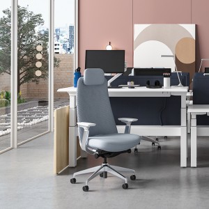 Luksuzni ergonomski pisarniški stol z nastavljivim hrbtom in ledveno oporo Voditeljski delovni vrtljivi mrežasti stoli za pisarno na delovni postaji