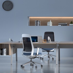 FILO Ergonomic Mesh Fabric Office Chair