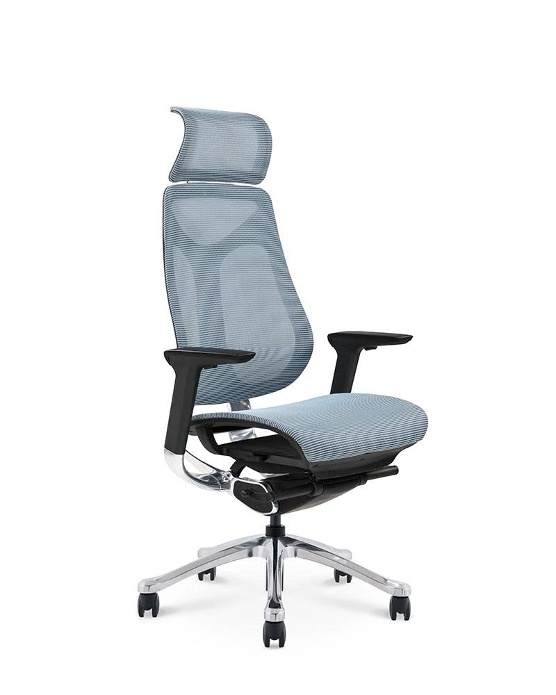 Factory made hot-sale Ergonomic Mesh Chair - Project Ergonomic Office Chair – GOODTONE