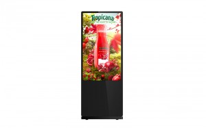 Professional Freestanding Display for Business