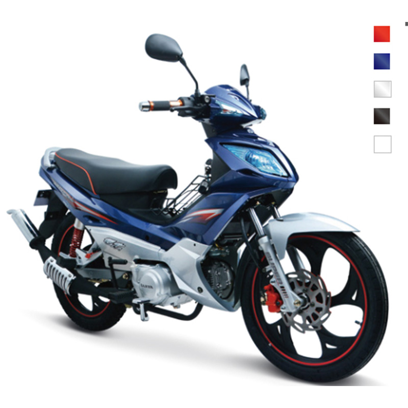 High Performance Best E Bikes - Motorcycle SY110-X1/SY125-21B/SY150-16C/SY200-9F – Gookma detail pictures
