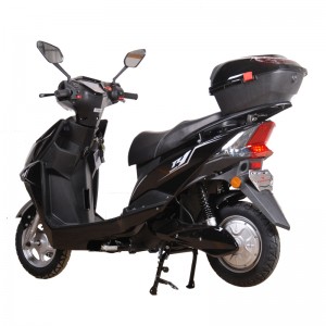 Electrical Motorbike with DIsc Brake Model Turtle King/Eagle Flyer/Wolf Guider/Cattle King