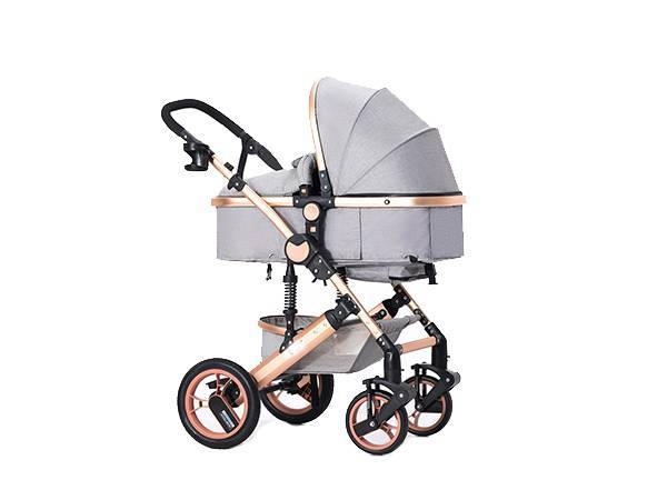 2020 Global Baby Stroller and Stroller Market Analysis, Type, Application, Forecast and COVID-19 Impact Analysis 2025