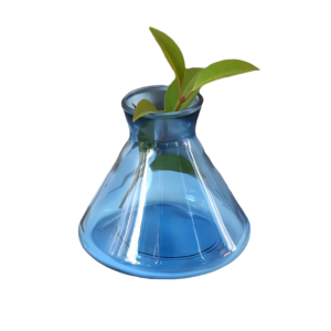 Bottiglia di vetro vuota per aromaterapia in vetro conico da 200 ml