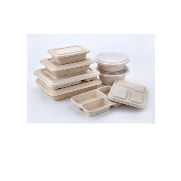 Bagasse Containers