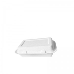 500cc Disposable Food Container With 2 Compartments And Hinged Lid