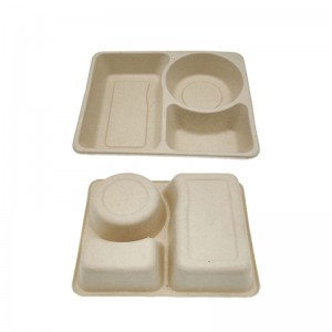 500cc rectangular bagasse food container and lid with three partitions