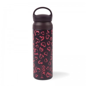 GOX China OEM Vacuum Insulated Water Bottle with Carry Handle