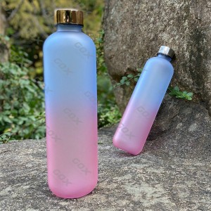 GOX BPA Free Tritan Water Bottle with Screw-on Lid