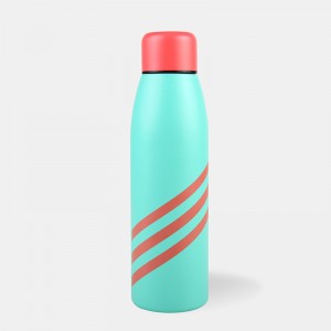 GOX Double Wall Vacuum Insulated Stainless Steel Water Bottle 17oz For Sports For Travel