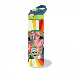 GOX China OEM Auto-open Lid Kids Vacuum Insulated Water Bottle With Straw
