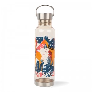 GOX China OEM Tritan Water Bottle with Stainless Handle