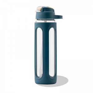 GOX Glass Water Bottle with Lid Straw and Protective Sleeve
