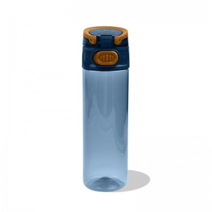 High Quality Lightweight Aluminum Water Bottle - GOX OEM China Leakproof Tritan Water Bottle with Flip Lock – Rock