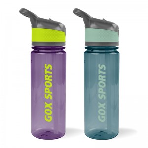 Good quality Ecozen Water Bottle - GOX China OEM BPA free Tritan Water Bottle with Autospout and Straw  – Rock