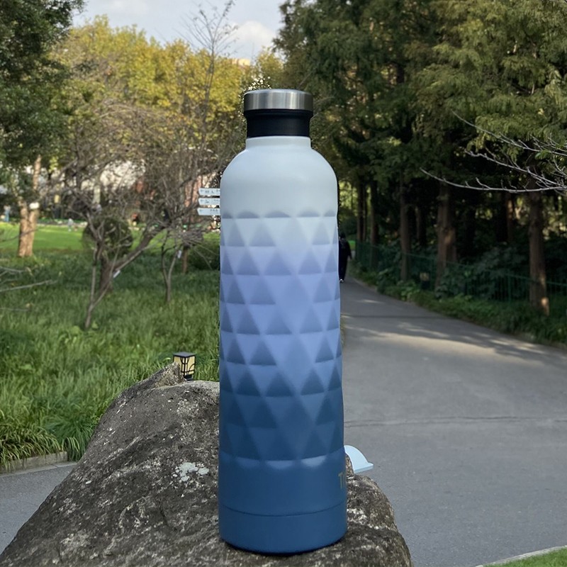 https://cdn.globalso.com/goxbottles/double-wall-vacuum-insulated-stainless-steel-water-bottle-2.jpg