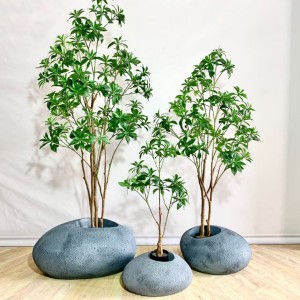 Штучна зелена рослина бонсай Pieris japonica використовується для прикраси домашнього офісу готелю