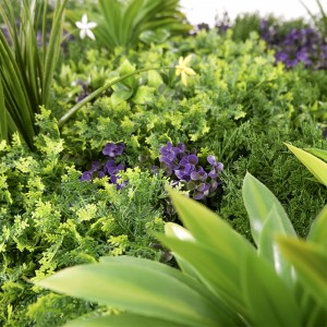 Decoración exterior Sistema de vegetación Herba verde Pared Topiary Panel de plantas Seto de buxo artificial